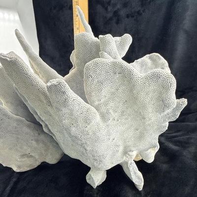 Sale Photo Thumbnail #56