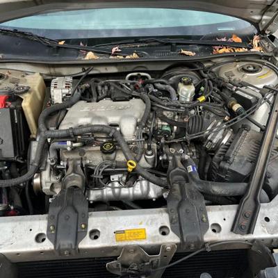 Sale Photo Thumbnail #15