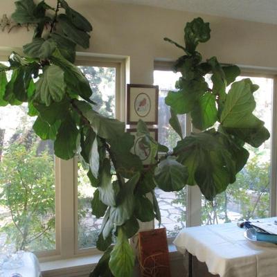 Sale Photo Thumbnail #39