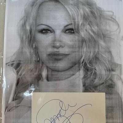 Sale Photo Thumbnail #239