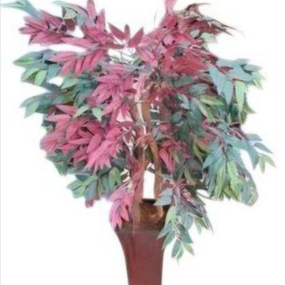 Sale Photo Thumbnail #89