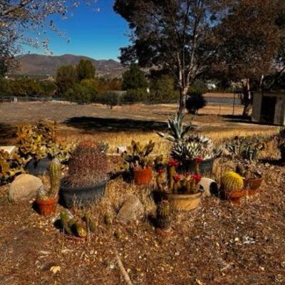 Sale Photo Thumbnail #343