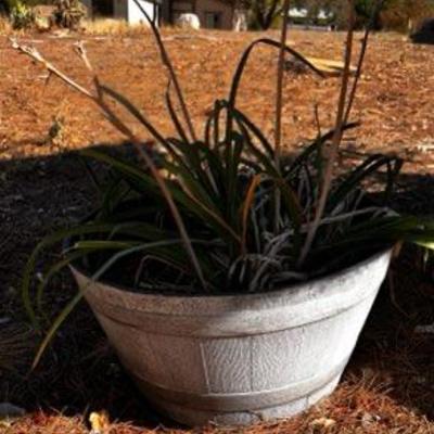 Sale Photo Thumbnail #316