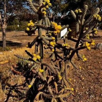 Sale Photo Thumbnail #342