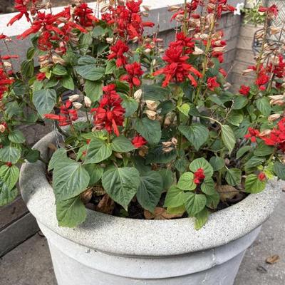 Sale Photo Thumbnail #59