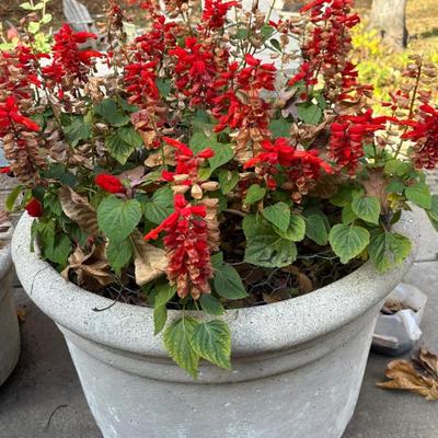 Sale Photo Thumbnail #54