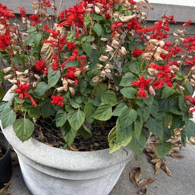 Sale Photo Thumbnail #58