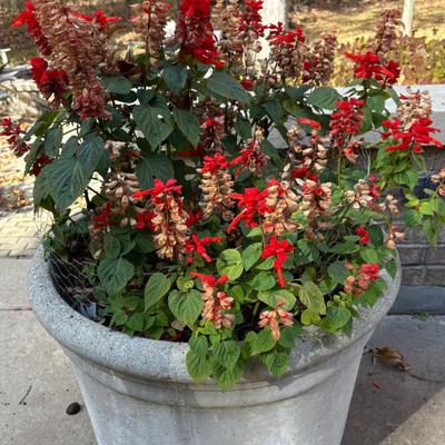 Sale Photo Thumbnail #53