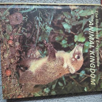 Sale Photo Thumbnail #497