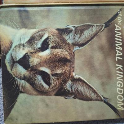 Sale Photo Thumbnail #498