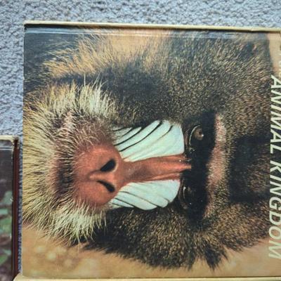 Sale Photo Thumbnail #499