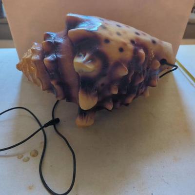 Sale Photo Thumbnail #1123