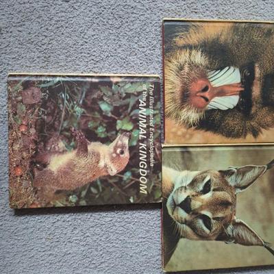 Sale Photo Thumbnail #496