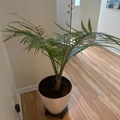 Sale Photo Thumbnail #37