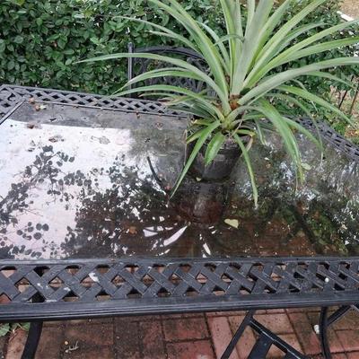 Sale Photo Thumbnail #72