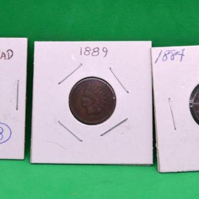 Indian Head Pennies 
