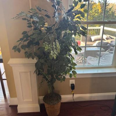 Sale Photo Thumbnail #101