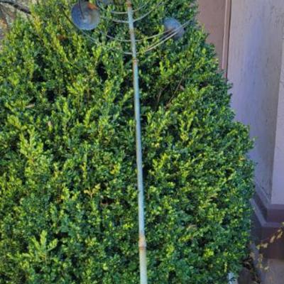 Sale Photo Thumbnail #461