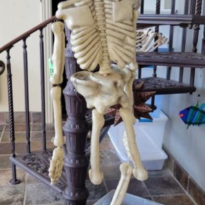 Sale Photo Thumbnail #298: Skeleton