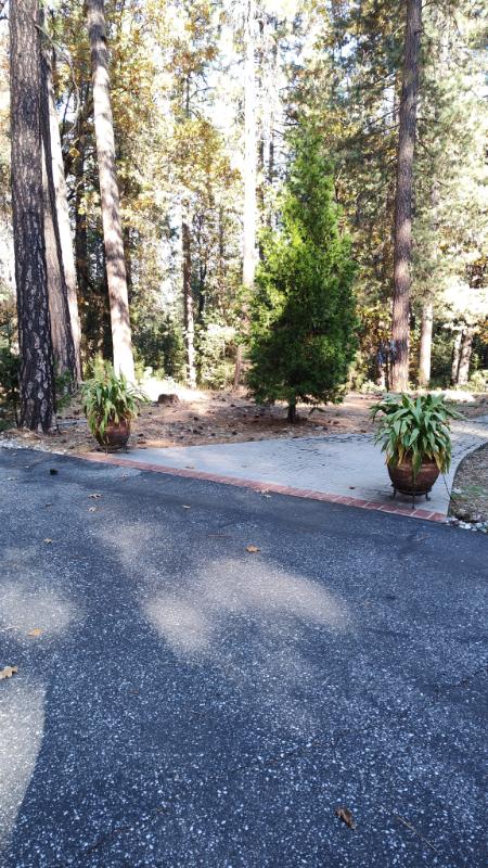 Sale Photo Thumbnail #183