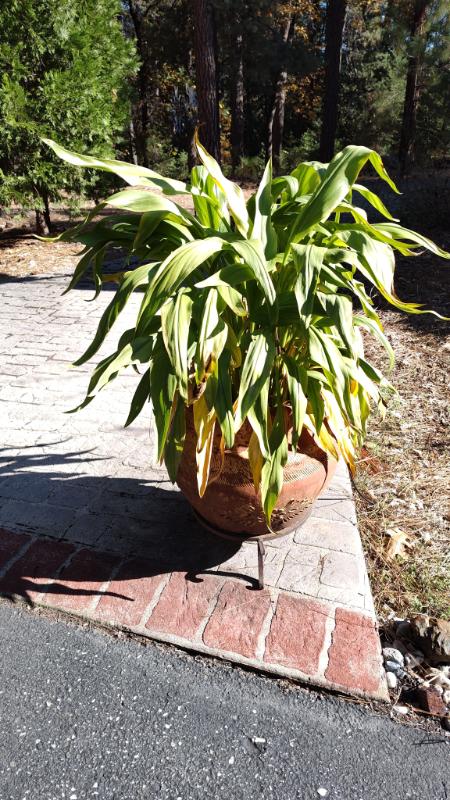 Sale Photo Thumbnail #107