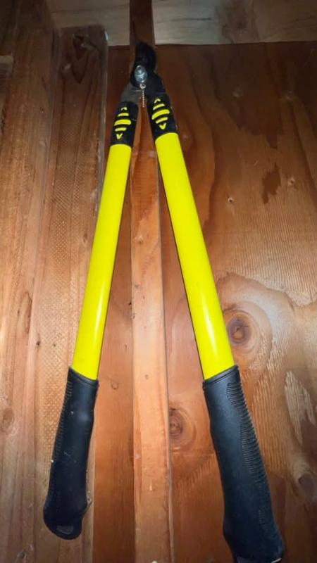 Sale Photo Thumbnail #270: Fb img 1762232791763