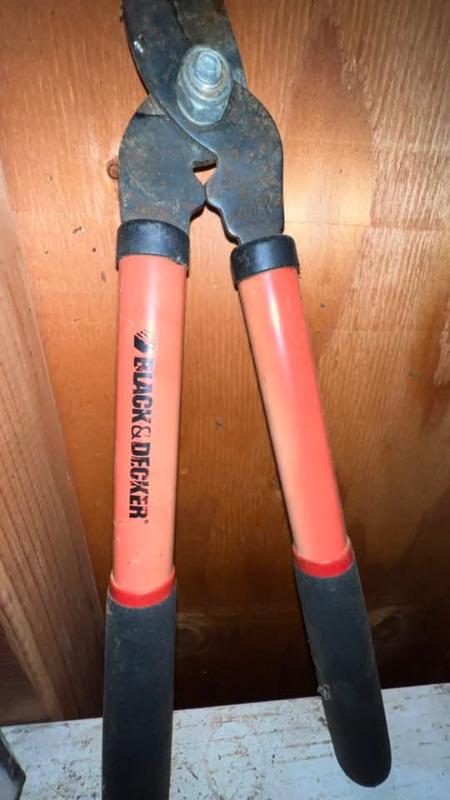 Sale Photo Thumbnail #236: Fb img 1762232802037