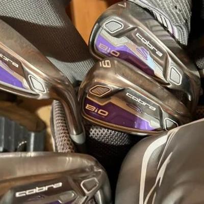 Fb img 1762232967940