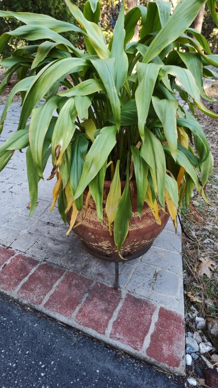 Sale Photo Thumbnail #195