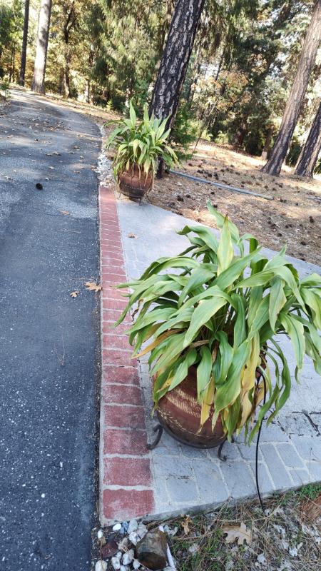 Sale Photo Thumbnail #209