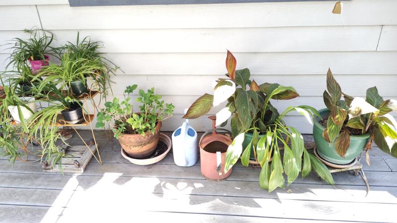 Sale Photo Thumbnail #151