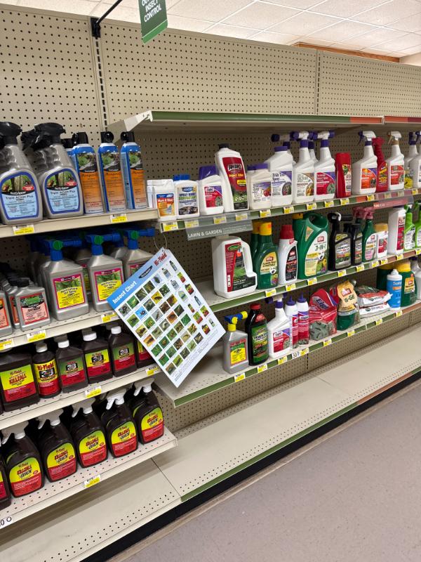 Sale Photo Thumbnail #13