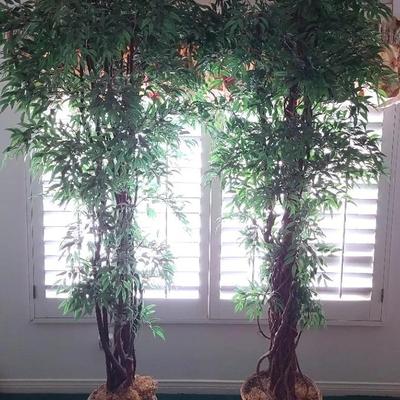 Tall Twin Trees - Faux Foliage, Each Over 7' High 