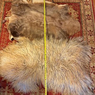 2 Animal Hides
