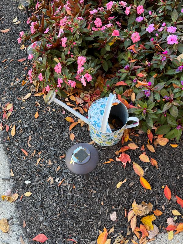 Sale Photo Thumbnail #60