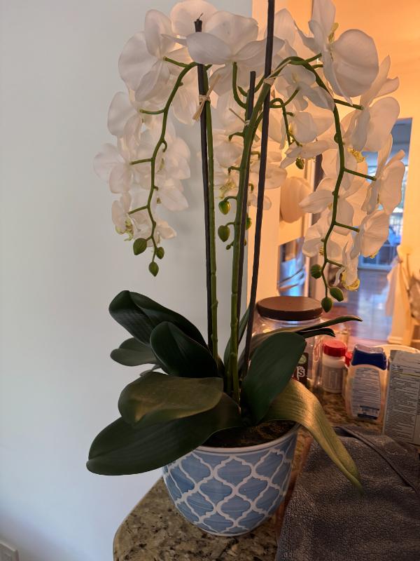 Sale Photo Thumbnail #30