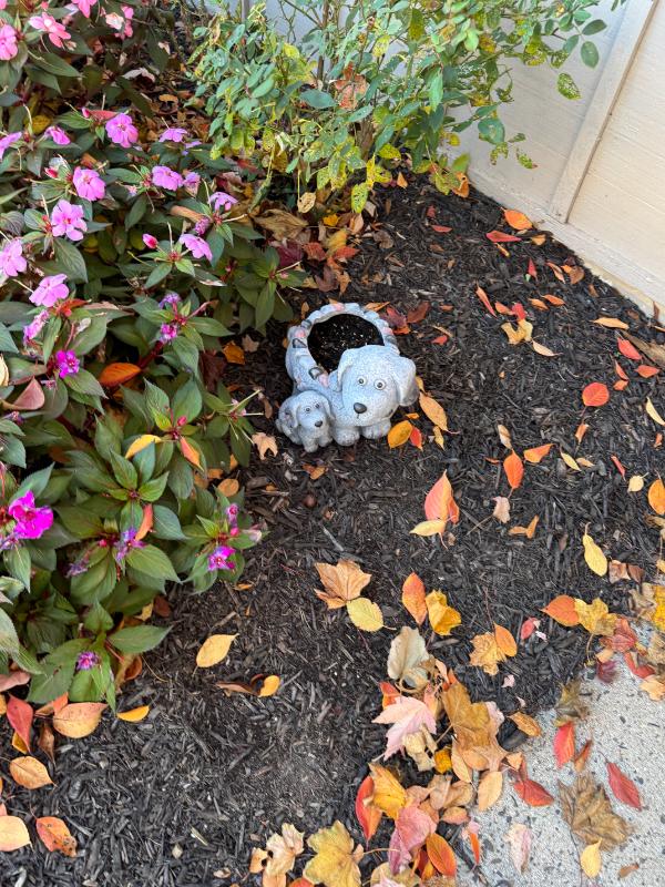 Sale Photo Thumbnail #61