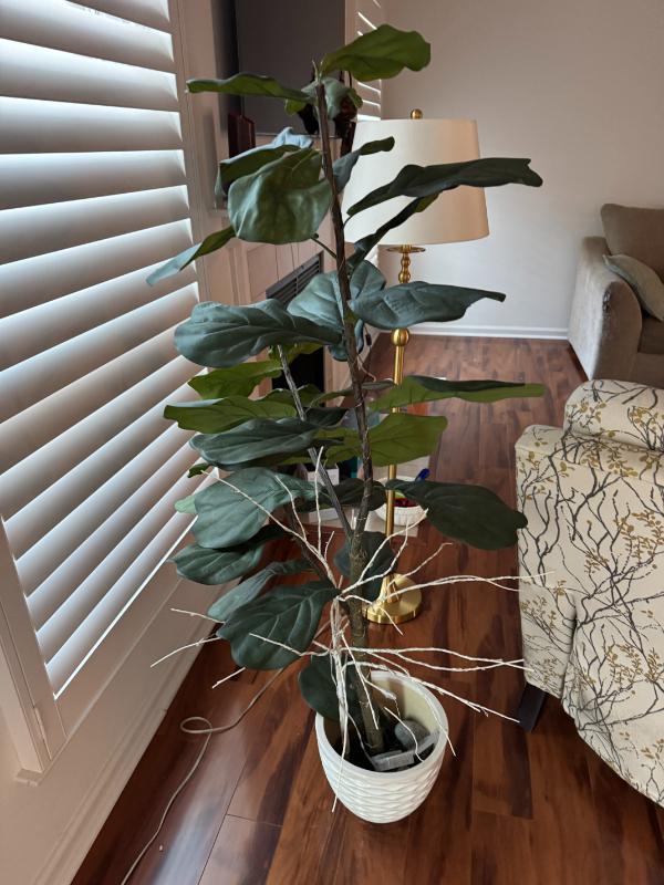 Sale Photo Thumbnail #99