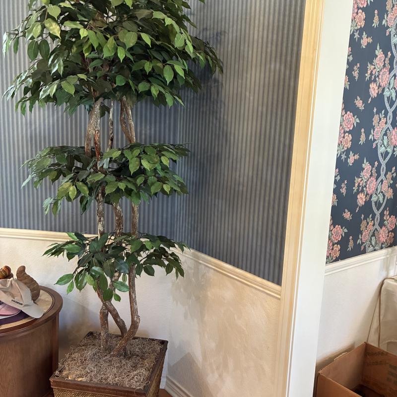 Sale Photo Thumbnail #43