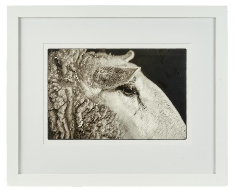 Sale Photo Thumbnail #112