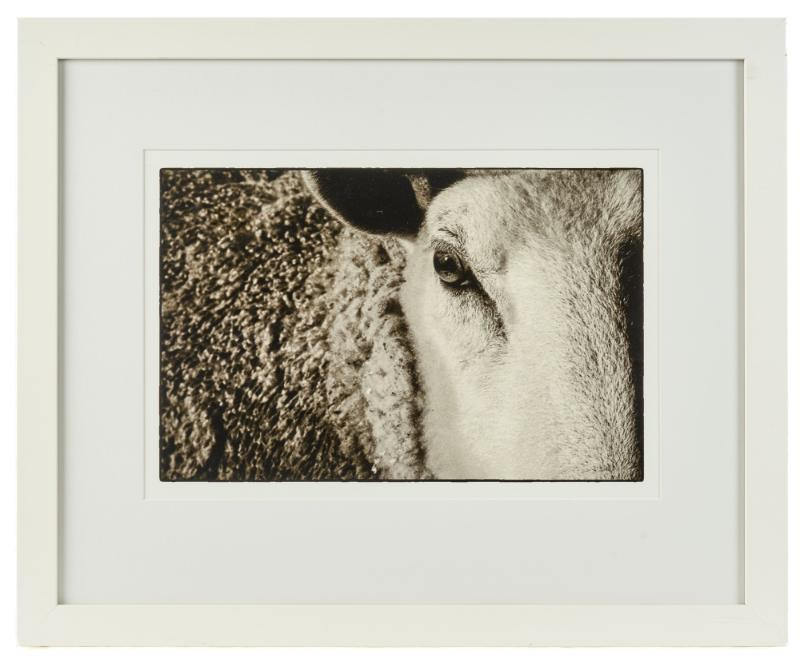 Sale Photo Thumbnail #111