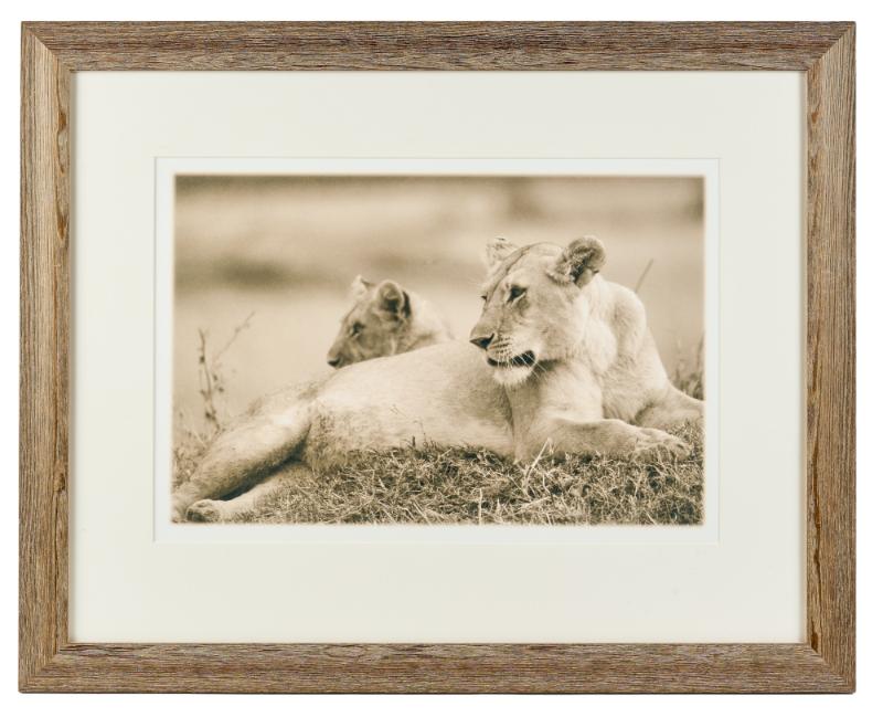 Sale Photo Thumbnail #108