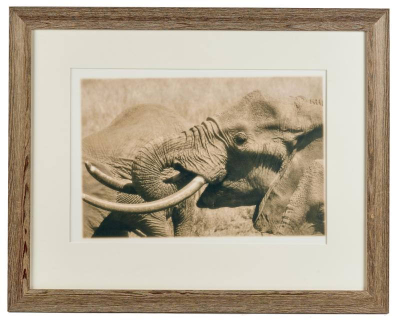 Sale Photo Thumbnail #113