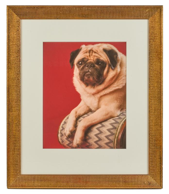 Sale Photo Thumbnail #98