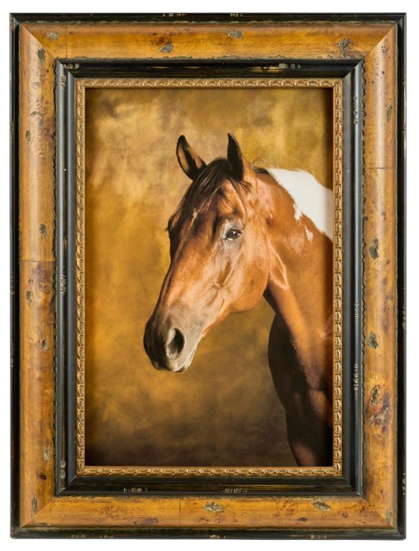 Sale Photo Thumbnail #94