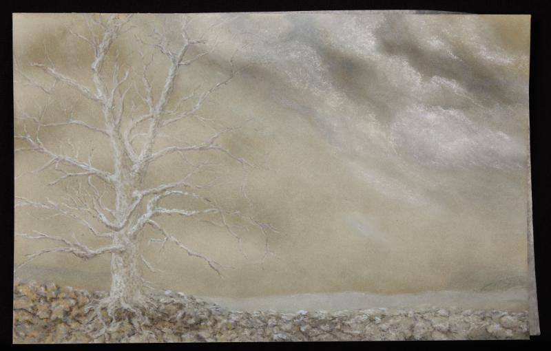 Sale Photo Thumbnail #156