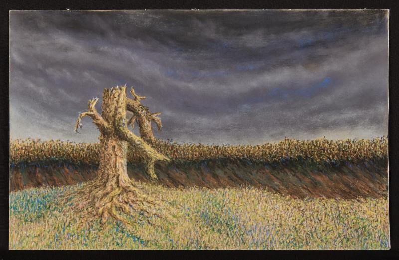 Sale Photo Thumbnail #354