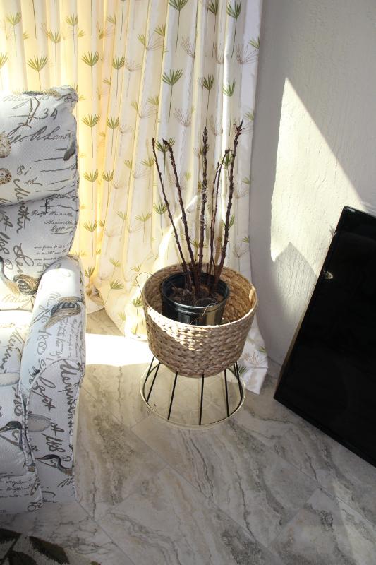 Sale Photo Thumbnail #107