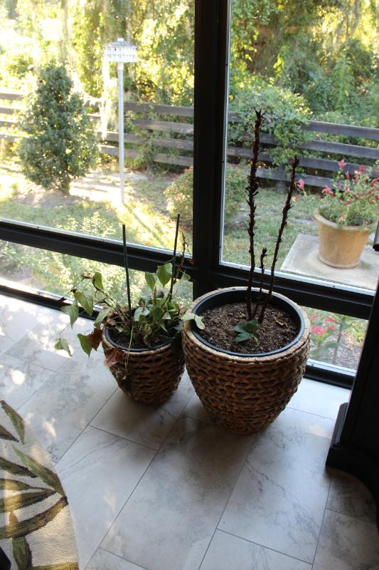 Sale Photo Thumbnail #92