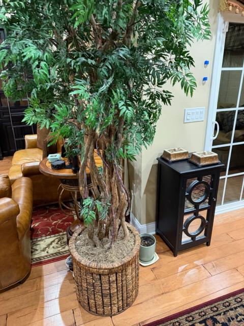 Sale Photo Thumbnail #21